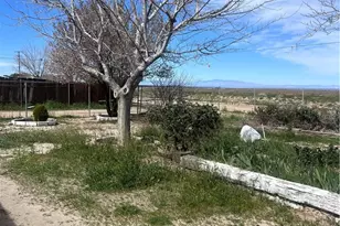 9722 E Ave Q, Palmdale, CA 93591 - Photo 3