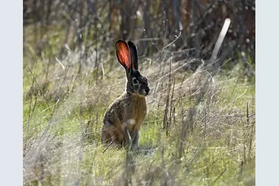 2041 Symonds, Pine Mountain Club, CA 93222 - Photo 59