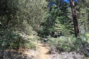 2041 Symonds, Pine Mountain Club, CA 93222 - Photo 65