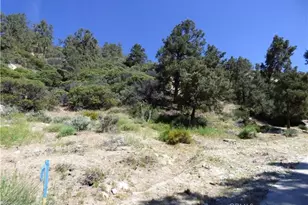 0 Escolon Trail, Frazier Park, CA 93225 - Photo 1