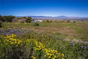 47721 222nd, Lancaster, CA 93536 - Photo 55