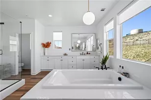 39342 Stallion, Palmdale, CA 93551 - Photo 53
