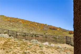 39342 Stallion, Palmdale, CA 93551 - Photo 49