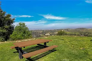 21309 Eucalyptus, Newhall, CA 91321 - Photo 19