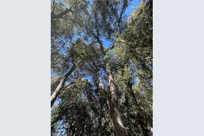 2117 Alder Court, Pine Mountain Club, CA 93222 - Photo 7