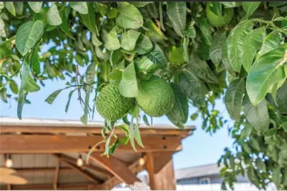 23685 Cold, Moreno Valley, CA 92557 - Photo 23