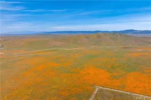 46472 Kings Canyon Rd, Lancaster, CA 93536 - Photo 43