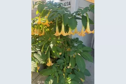 1423 W San Bernardino #A, Covina, CA 91722 - Photo 41