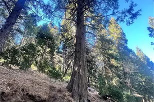 0 Reservoir, Cedarpines Park, CA 92322 - Photo 1