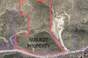 38351 Bouquet Canyon Rd, Leona Valley, CA 93551 - Photo 1