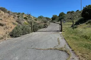 33150 Big Springs, Acton, CA 93510 - Photo 39