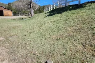 33150 Big Springs, Acton, CA 93510 - Photo 11