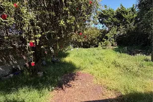 3132 Glendon, Los Angeles, CA 90034 - Photo 13