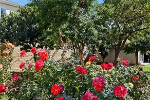 13816 Bessemer St, Van Nuys, CA 91401 - Photo 33