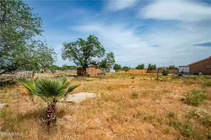 10731 E Ave R-2, Littlerock, CA 93543 - Photo 19