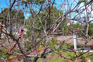 37 Hastings Ave, Ventura, CA 93003 - Photo 45