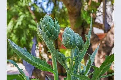 23301 Blythe Street, West Hills, CA 91304 - Photo 69