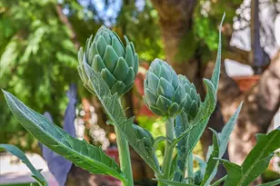 23301 Blythe St, West Hills, CA 91304 - Photo 69