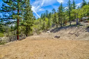 32557 Pine Cone Ct A&b, Running Springs, CA 92382 - Photo 67