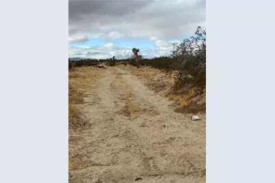 165 E Avenue S, Palmdale, CA 93591 - Photo 19