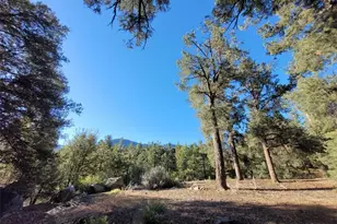 15913 Wildwood Dr, Pine Mountain Club, CA 93222 - Photo 1