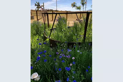 11524 Deep Creek Road, Apple Valley, CA 92308 - Photo 13