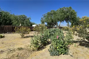 40954 168th, Lancaster, CA 93535 - Photo 23