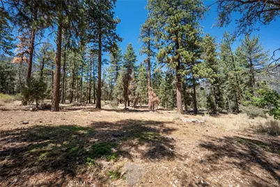2205 2205 Fernwood, Pine Mountain Club, CA 93222 - Photo 37