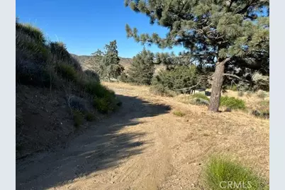 40007 92nd Street, Leona Valley, CA 93551 - Photo 5