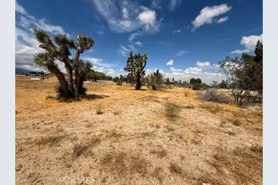 397 Joshua Hills Road, Pinon Hills, CA 92372 - Photo 13