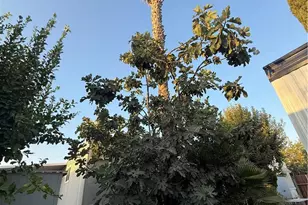 8801 Eton Ave, Canoga Park, CA 91304 - Photo 9