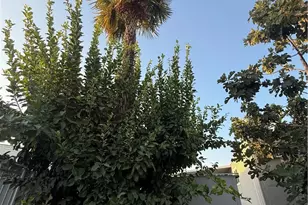 8801 Eton Ave, Canoga Park, CA 91304 - Photo 11