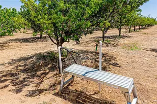 11126 E Ave W 8, Pearblossom, CA 93553 - Photo 39
