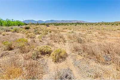 11126 E Avenue W8, Pearblossom, CA 93553 - Photo 49