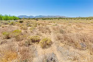 11126 E Ave W 8, Pearblossom, CA 93553 - Photo 49