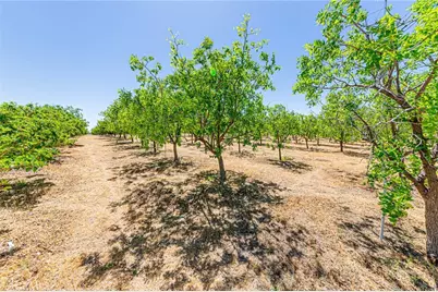 11126 E Avenue W8, Pearblossom, CA 93553 - Photo 47