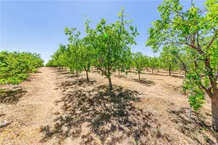11126 E Ave W 8, Pearblossom, CA 93553 - Photo 47