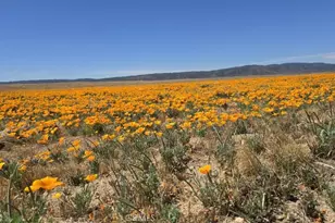 49645 3 Points Rd, Lancaster, CA 93536 - Photo 13