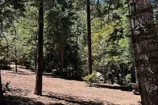 1221 Azalea Dr, Pine Mountain Club, CA 93222 - Photo 1