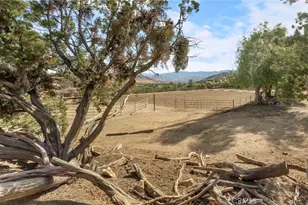 6535 Juniper Crest Rd, Agua Dulce, CA 91390 - Photo 65