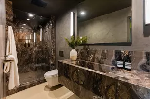 21656 Las Flores Heights, Malibu, CA 90265 - Photo 39