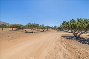 2727 Sache St, Acton, CA 93510 - Photo 49