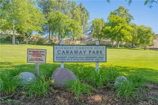 27939 Caraway Ln, Saugus, CA 91350 - Photo 29