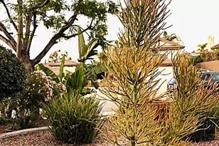 7 Carob, Newbury Park, CA 91320 - Photo 15