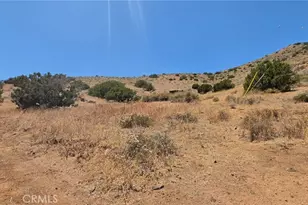 33805 Buffalo Ridge, Acton, CA 93510 - Photo 11