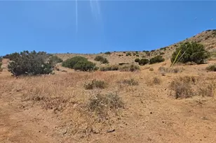 33805 Buffalo Ridge, Acton, CA 93510 - Photo 29