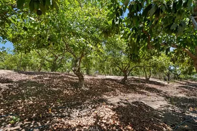 4305 Groves Place, Somis, CA 93066 - Photo 35