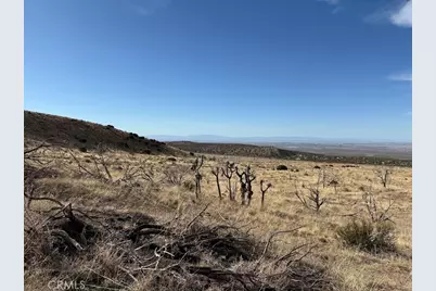 0 200, Llano, CA 93544 - Photo 27