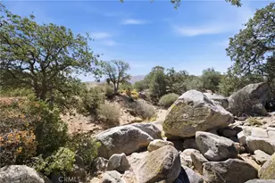 3300 Cook Peak, Lake Isabella, CA 93240 - Photo 43
