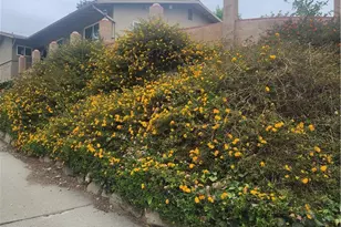 4600 Lauderdale Ave, La Crescenta, CA 91212 - Photo 13